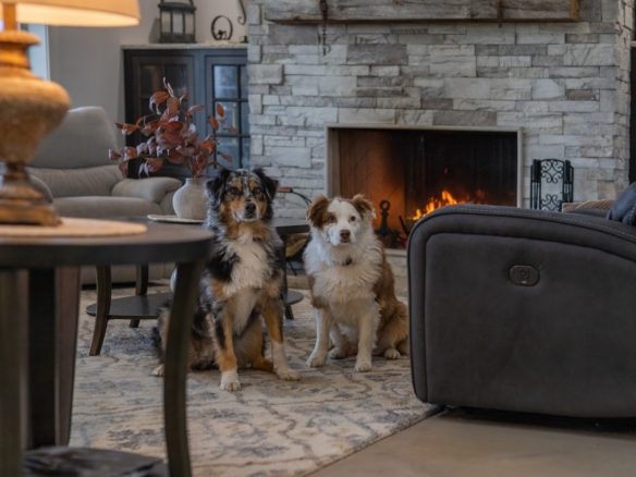 Two dogs sitting by a stone fireplace in a cozy Holland, MI home.